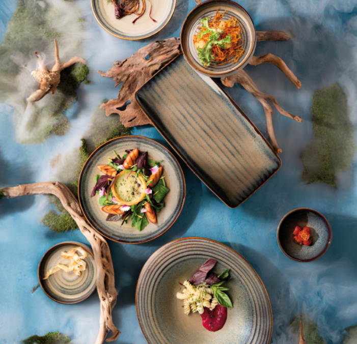 Ariane Splash Atomic Coupe Plate 21cm (Set of 12)