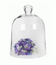 Cake Dome | Bell Dome XL 40cm(H) × 29cm(W)