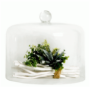 Cake Dome | IRIS DOME 20cm(H) × 35cm(W)