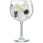 Gin Glass | ARC Vina Gin 700ml (Set of 6)
