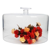 Straight Sided Glass Dome 20cm(H) × 30cm(W)