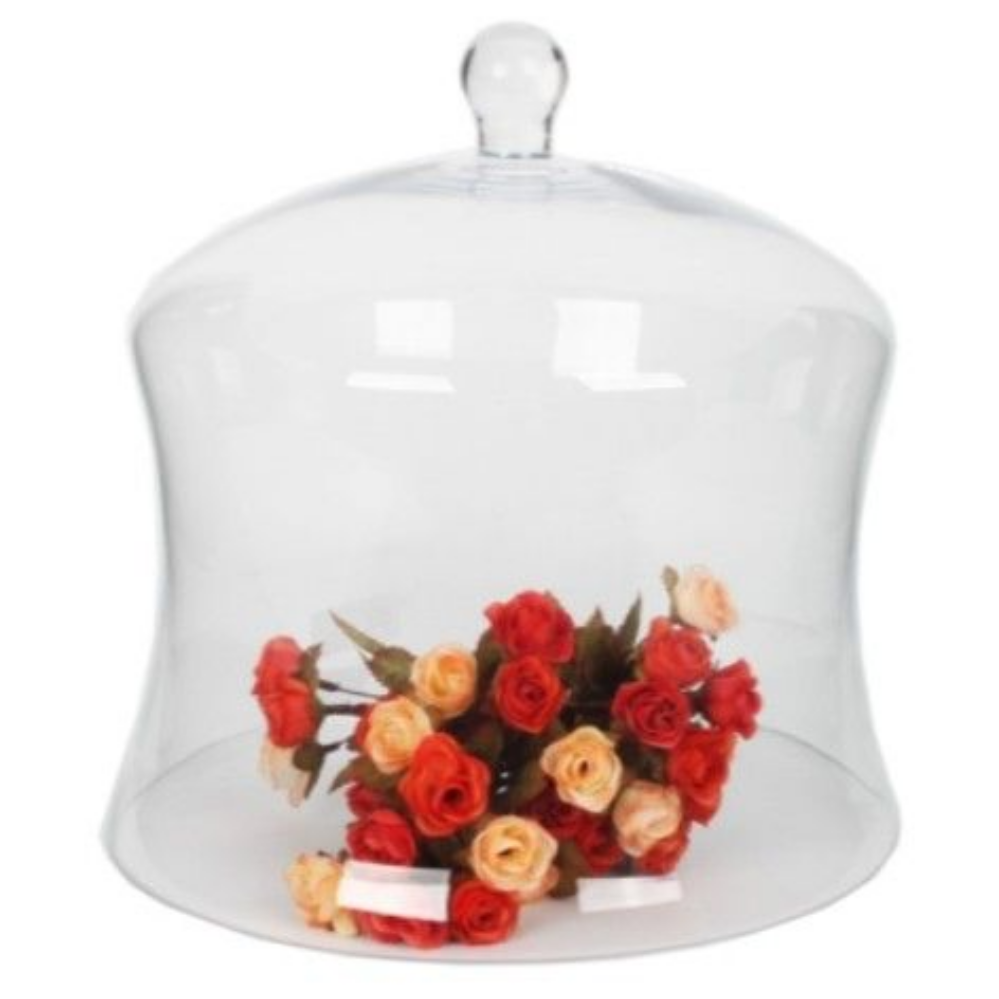 Curved Glass Dome 30X30CM