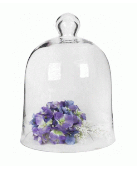 Cake Dome | BELL DOME LRG 34X24CM