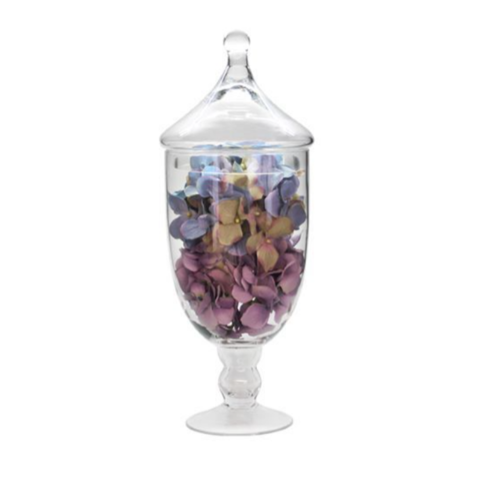 Aladdin Jar & Lid 43X16CM