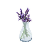 Bottle Shape Vase 21cm(H) × 7cm(W) - Set of 3