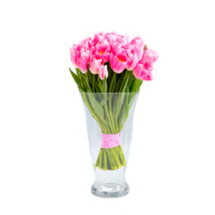 Hanxi Tulip Large 25 x 14.5cm