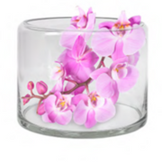 Bulb Vase Large 14cm(H) × 18cm(W)