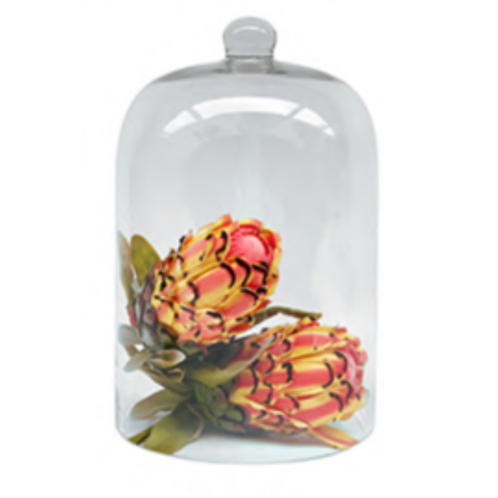 Glass Dome | Tall Display Dome 32 x 21 cm