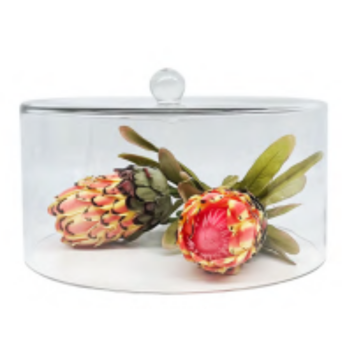 Glass Dome | Straight Sided Dome 17 x 31cm