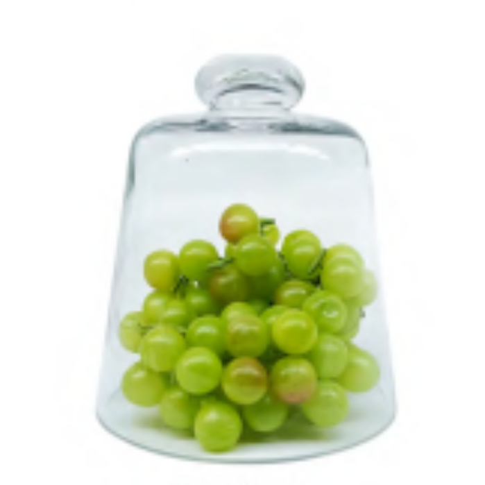 Glass Dome | French Dome 17 x 15cm