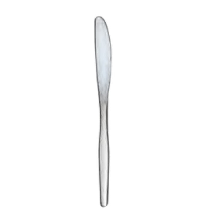 SLIMLINE High Polish TABLE KNIFE 18/0 (Set of 12)