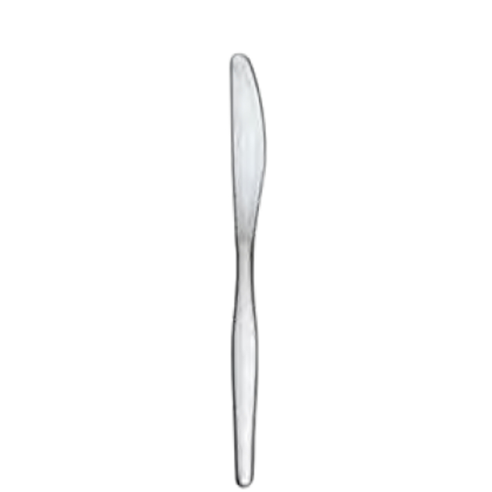 SLIMLINE High Polish DESSERT KNIFE 18/0 (Set of 12)