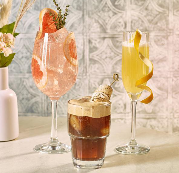 Polycarbonate Optic Wine Glass 490ml (Set of 6)