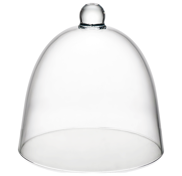 Polycarbonate Cloche 166x165mm