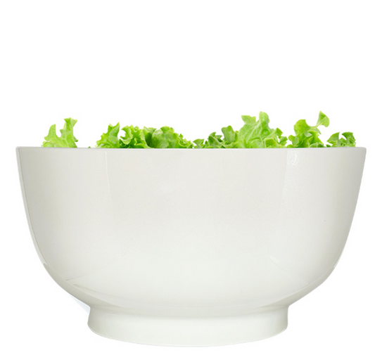 Nova New Bone Bowl 20cm (Set of 4)