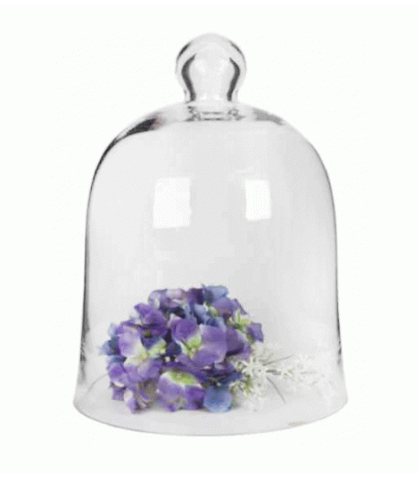 Cake Dome | Bell Dome XL 40cm(H) x 29cm(W)