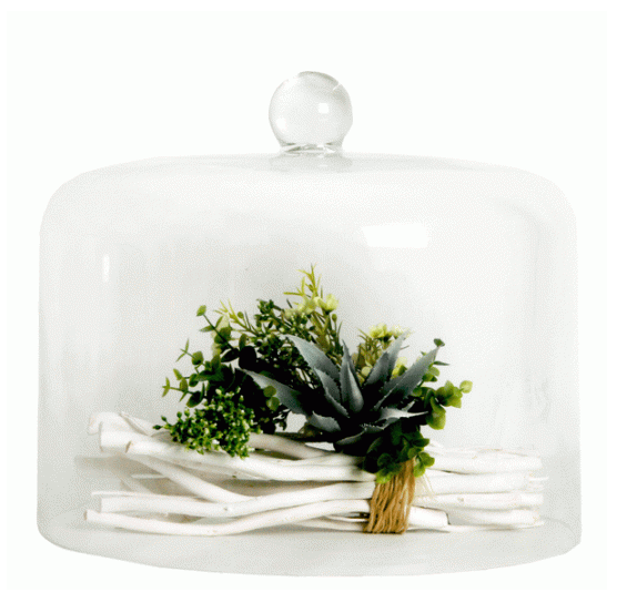 Cake Dome | IRIS DOME 20cm(H) x 35cm(W)