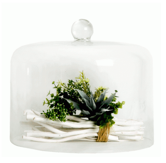 Cake Dome | IRIS DOME 20cm(H) x 35cm(W)