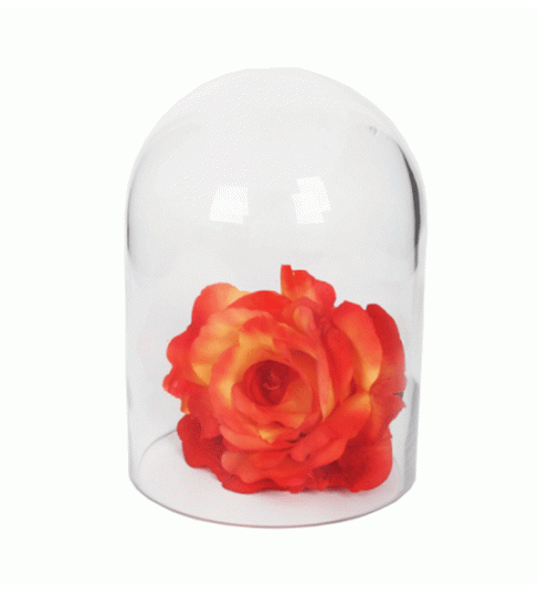 Glass Dome | Aquarium Dome Lrg 18cm(H) x 14cm(W)