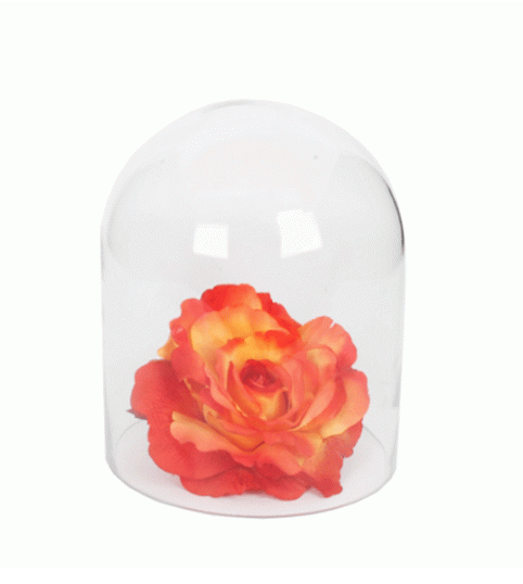 Glass Dome | Aquarium Dome Small 10cm(H) x 7cm(W) - (Set of 4)