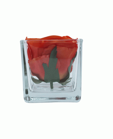 Square Vase 8cm x 8cm x 8cm (Set of 6)