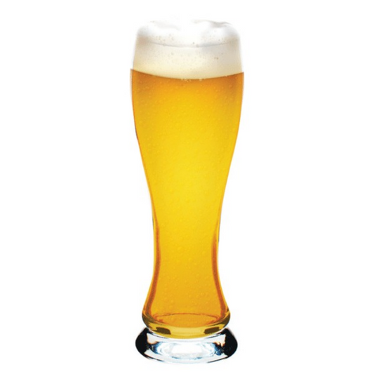 Walchensee Beer Glass 650ml (Set of 6)