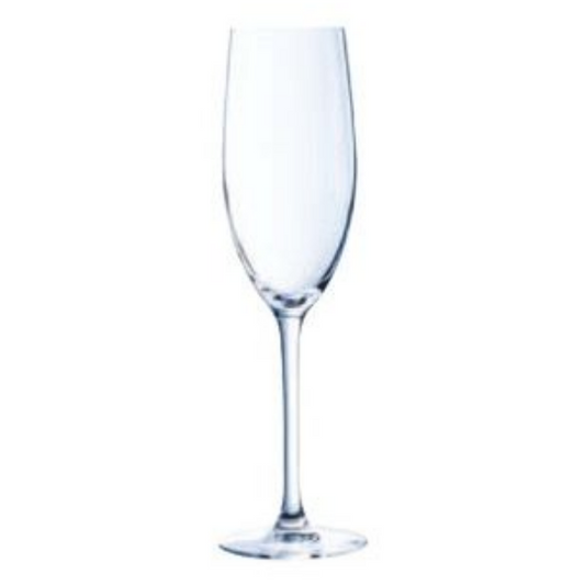 Champagne Glass | CLASSIQUE FLUTE 240ML (Case Pack of 24)