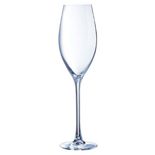 Champagne Glass | C&S GRANDS CEPAGES FLUTE 240ML (Set of 6)