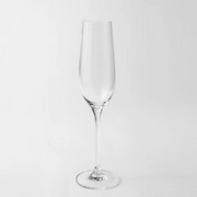 JENNA CLIFFORD - Champagne 235ml Set of 4