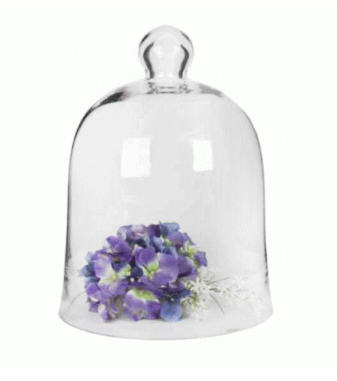 Cake Dome | BELL DOME MED 30X21CM