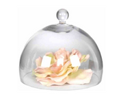 Glass Cheese Dome 20cm(H) × 22cm(W)