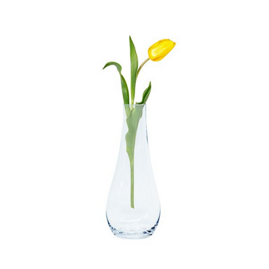 ﻿Teardrop Bud Vase 24X4CM