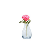 Bottle Shape Vase 17cm(H) × 6cm(W) - Set of 3