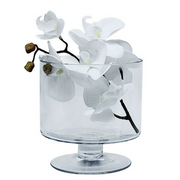 Footed Trifle Bowl 15cm × 15cm (1.5L) - Set of 4