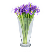 Hanxi Tulip VASE Large 25cm(H) × 14.5cm(W)