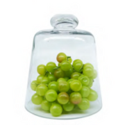 Glass Dome | French Dome 17cm(H) × 15cm(W)