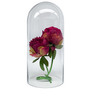 Aquarium Glass Dome 15(W) X 31(H) cm