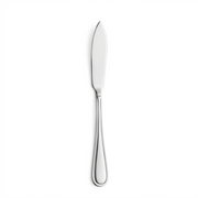 Nova Vision Fish Knife 18/10 (Set of 12)