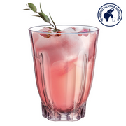Hiball Glass | ARC Arcade Hiball 400ml Tempered (Set of 6)