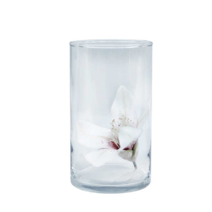 Glass Vase | CYLINDER VASE 20cm(H) x 10cm(W)