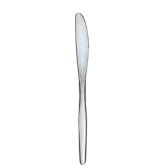 SLIMLINE High Polish TABLE KNIFE 18/0 (Set of 12)